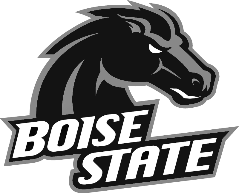 64fb217faa19d66bc4d93cd8_boise state logo